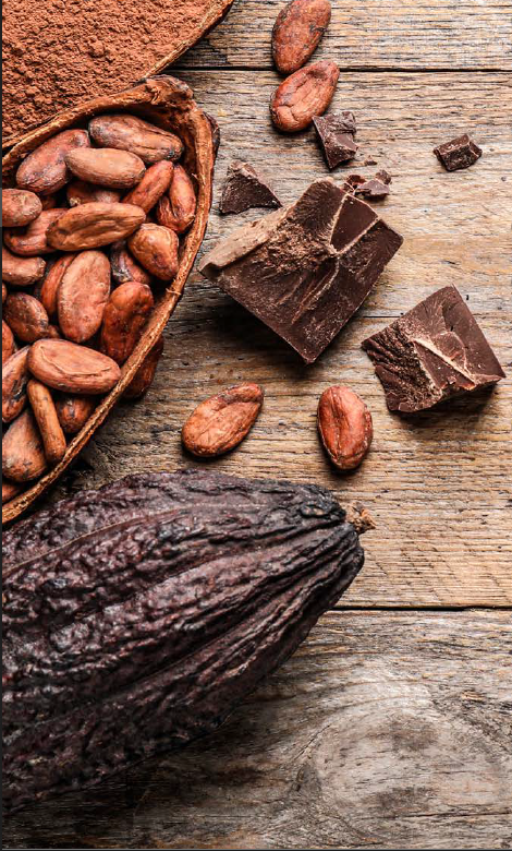 Cocoa Market Trading Analytics