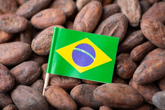 Brazil Cocoa
